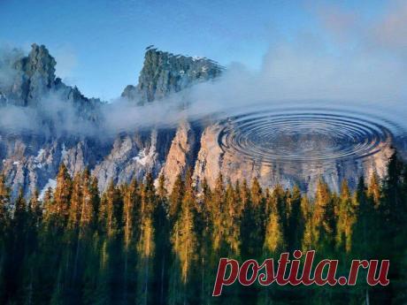 Потрясающий кадр! | НАУКА И ЖИЗНЬ