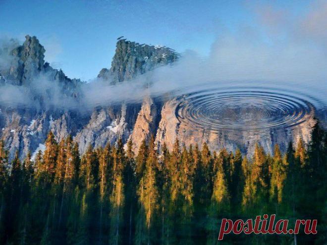 Потрясающий кадр! | НАУКА И ЖИЗНЬ