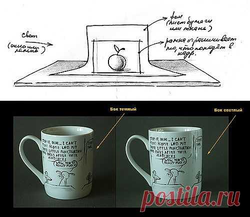 Учимся фотографировать.