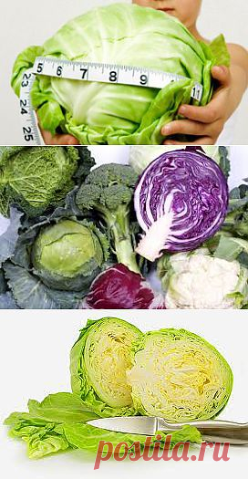 Капустная диета |