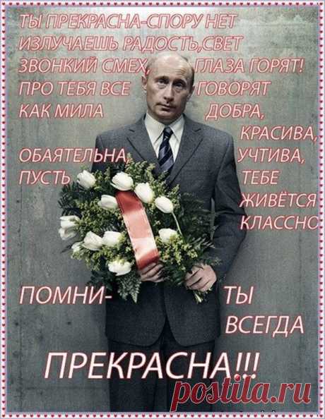 Шуточные открытки с юмором на День Рождения девушке (42 картинки) ⭐ Забавник