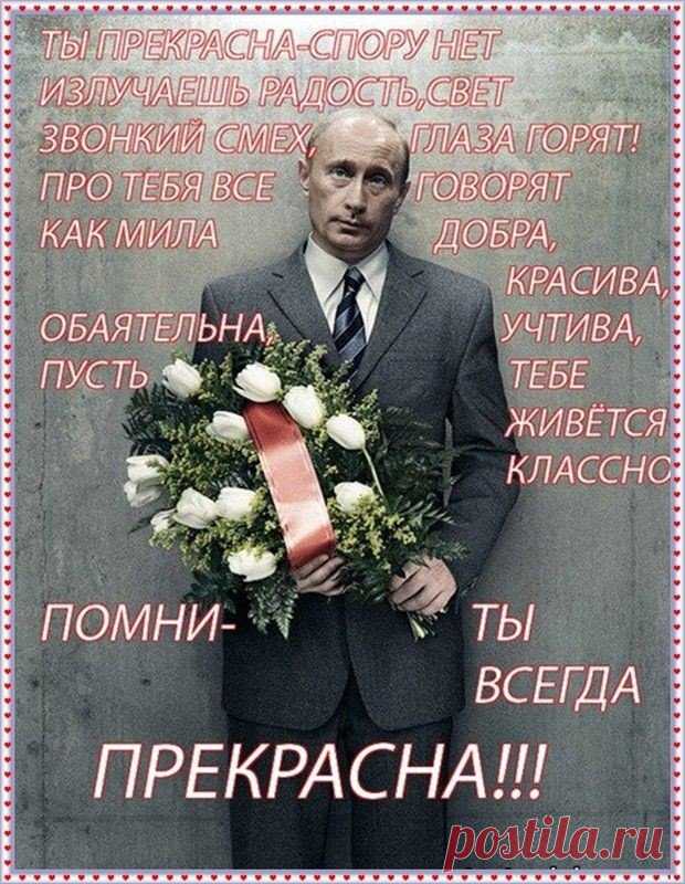 Шуточные открытки с юмором на День Рождения девушке (42 картинки) ⭐ Забавник
