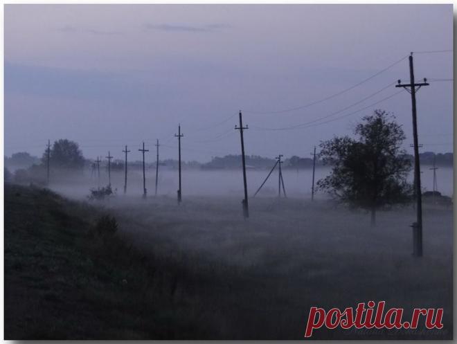 Наталия — «Бредущие в тумане» на Яндекс.Фотках