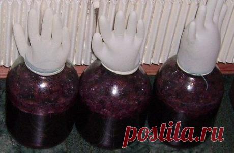 Домашнее вино из калины – рецепт и технология приготовления