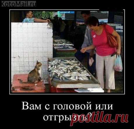 Отгрызть?