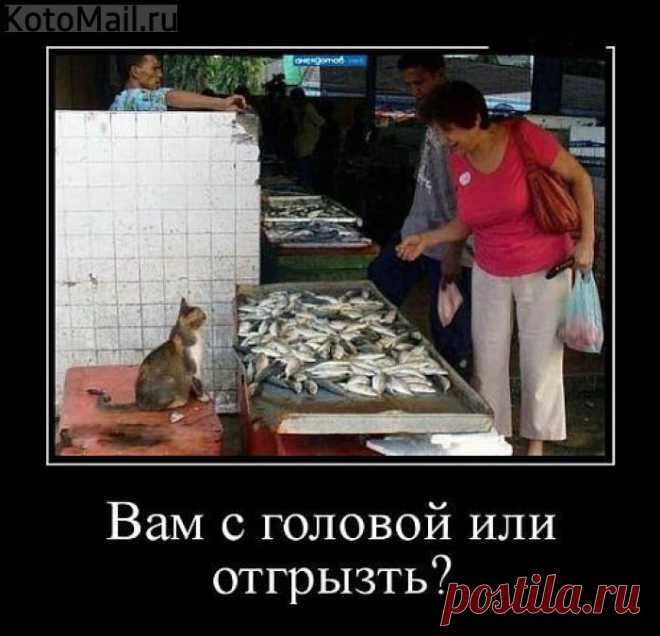 Отгрызть?