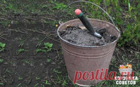 ПОЧТИ ВСЕ, ЧТО НУЖНО ЗНАТЬ ПРО ЗОЛУ