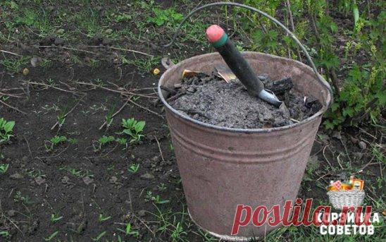 ПОЧТИ ВСЕ, ЧТО НУЖНО ЗНАТЬ ПРО ЗОЛУ