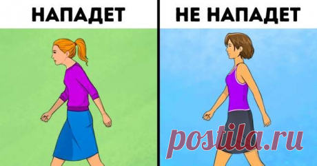 8 моделей поведения, которые делают человека на улице легкой добычей для преступника Для выбора жертвы преступнику достаточно всего 7 секунд. За это время он успевает составить представление о человеке, идущем ему навстречу, и взвесить все риски. Не каждый подходит на роль потерпевшего. Давайте разберемся, чем отличаются люди, к которым преступники никогда не приближаются, от тех, кто становится их жертвой. В 1980-х годах было проведено исследование с целью выяснить, как п...