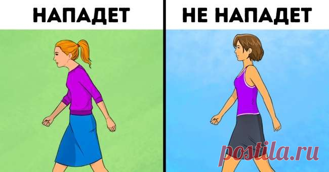 8 моделей поведения, которые делают человека на улице легкой добычей для преступника Для выбора жертвы преступнику достаточно всего 7 секунд. За это время он успевает составить представление о человеке, идущем ему навстречу, и взвесить все риски. Не каждый подходит на роль потерпевшего. Давайте разберемся, чем отличаются люди, к которым преступники никогда не приближаются, от тех, кто становится их жертвой. В 1980-х годах было проведено исследование с целью выяснить, как п...
