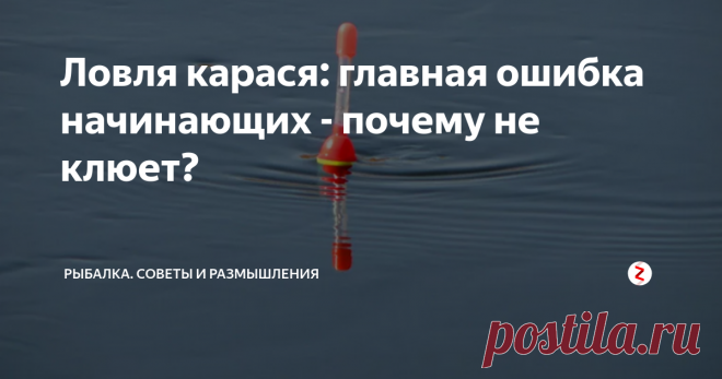 Ловля карася: главная ошибка начинающих - почему не клюет? 
