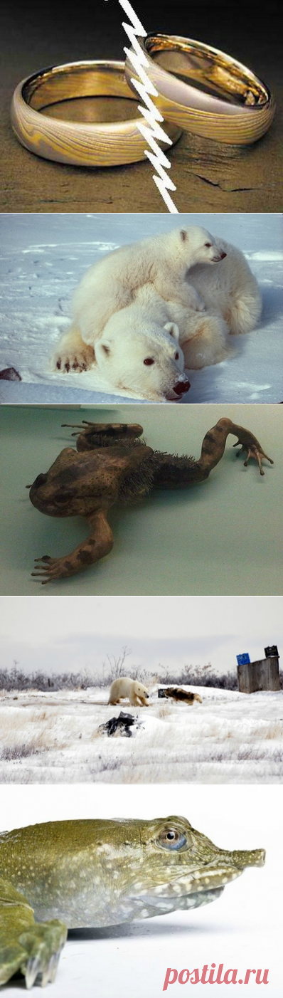 Всяко разно. Вы этого точно не знали!