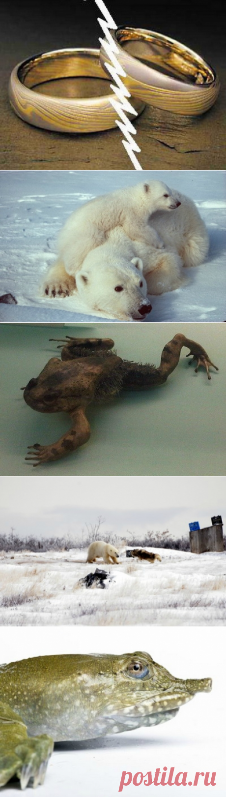 Всяко разно. Вы этого точно не знали!