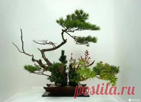 Japanese Culture & Style