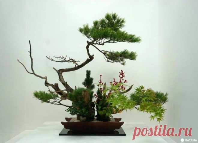 Japanese Culture & Style