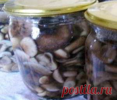 Маринованные опята