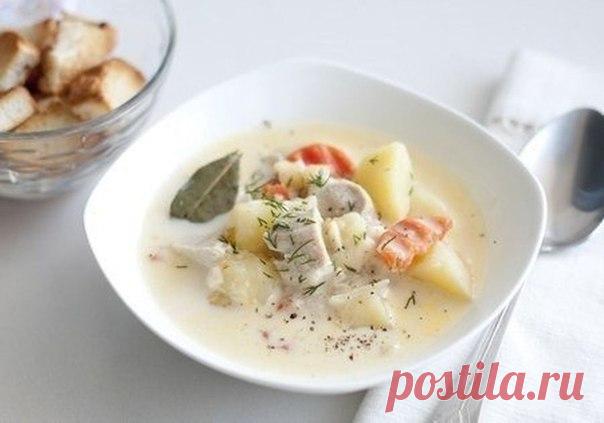 Диетический низкокалорийный сырный суп с курицей  - Счастливые заметки