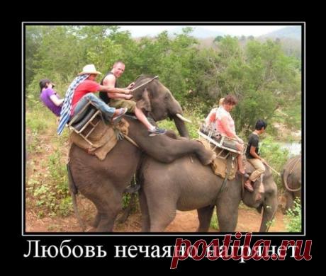 Демотиваторы для взрослых