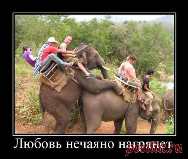 Демотиваторы для взрослых