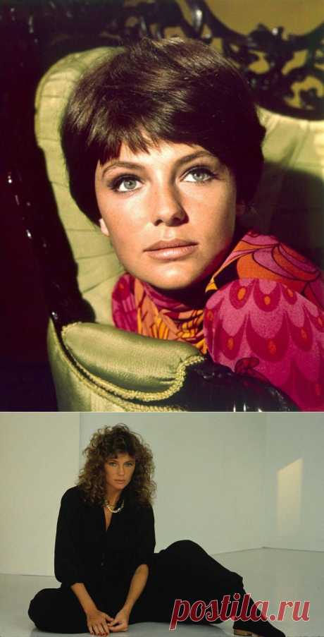 Жаклин Биссет: английская роза с французским ароматом.