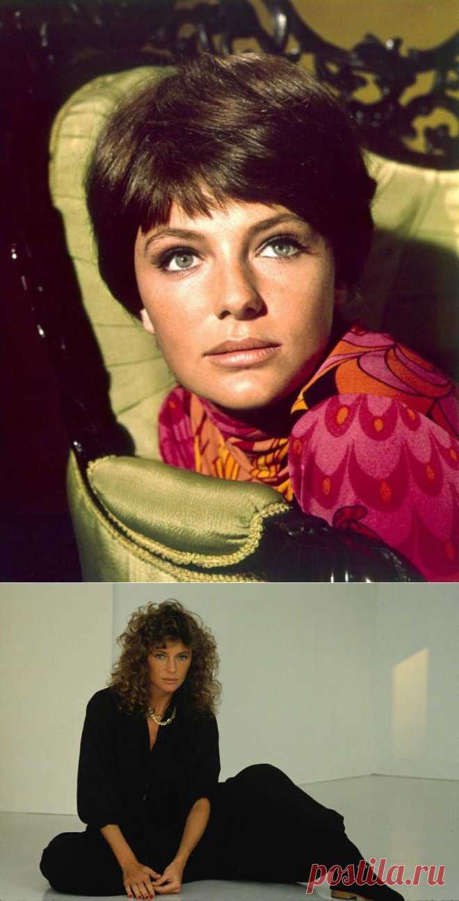 Жаклин Биссет: английская роза с французским ароматом.