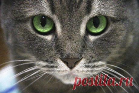 Зульфия: ни шагу назад, ни шагу на месте...