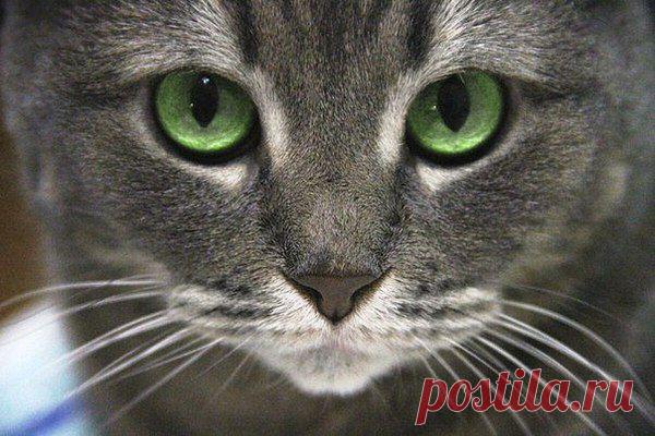 Зульфия: ни шагу назад, ни шагу на месте...