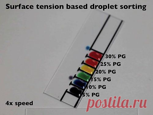 "Интеллектуальные" капли способны перемещаться самостоятельно под воздействием сил поверхностного натяжения » DailyTechInfo - Новости науки и технологий, новинки техники.