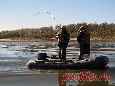 Джиг и коряги