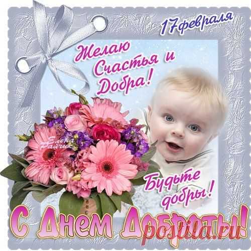 Мои новости