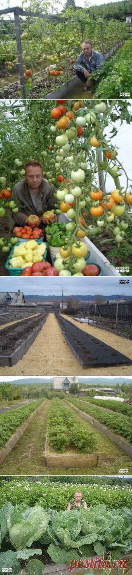 (49) Одноклассники