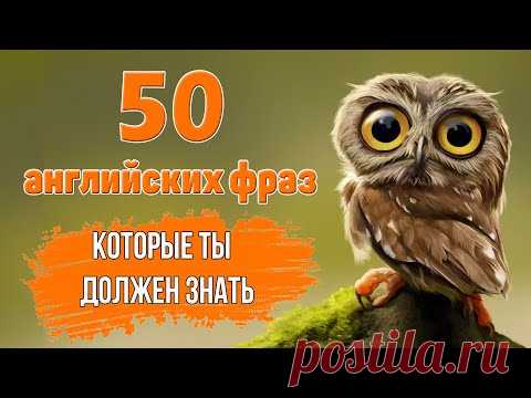 50 разговорных английских фраз на каждый день