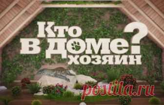 Кто в Доме хозяин 31 выпуск 27.10.2018 НТВ  видео в хорошем качестве Кто в Доме хозяин 31 серия последний выпуск 27 октября. Хозяйка двух котов Ольга не может наладить личную жизнь, потому что один из ее питомцев до смерти боится мужчин. К тому же, кот испытывает страх и перед ветеринарными клиниками. Фелинолог Алекса...
