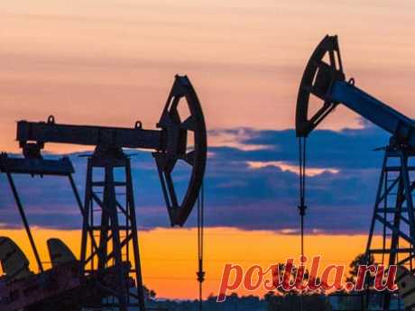 Стоимость нефти упала ниже $31 за баррель - Телеканал «Звезда»
