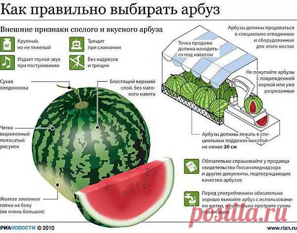 как правильно выбирать арбуз