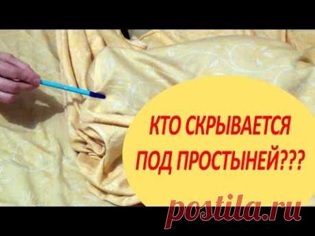 Отгадай - Кто скрывается под простыней?