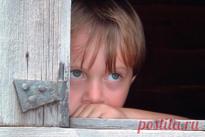 «Зачем ты родила меня, мама?» «Зачем ты родила меня, мама?»