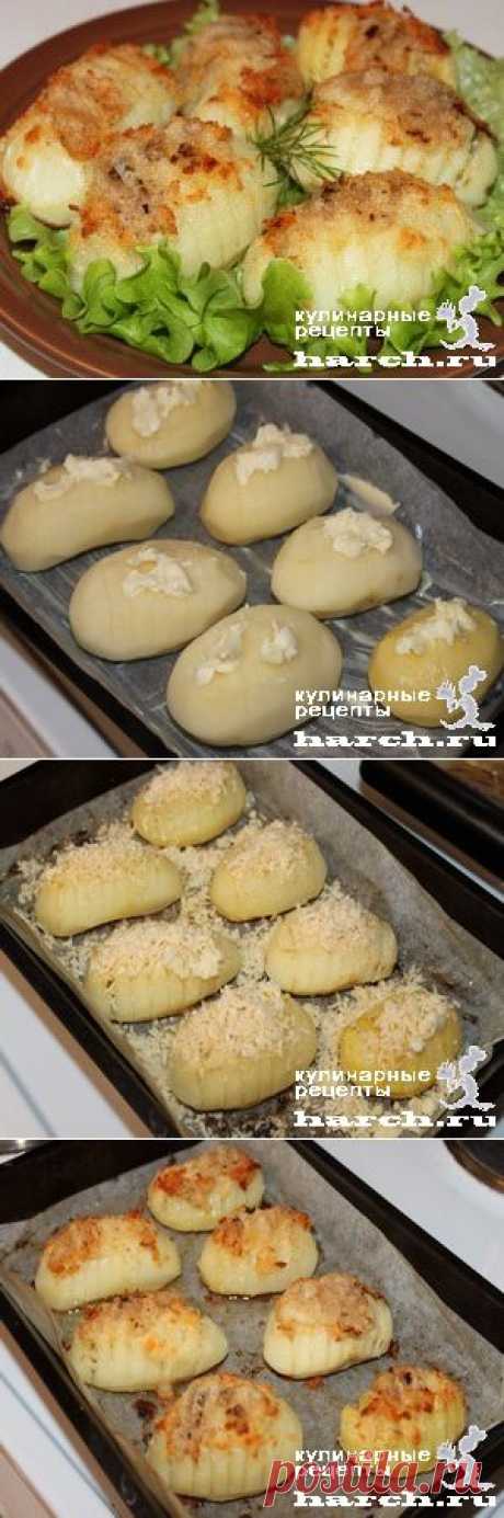 Запеченный картофель “Гассель”.