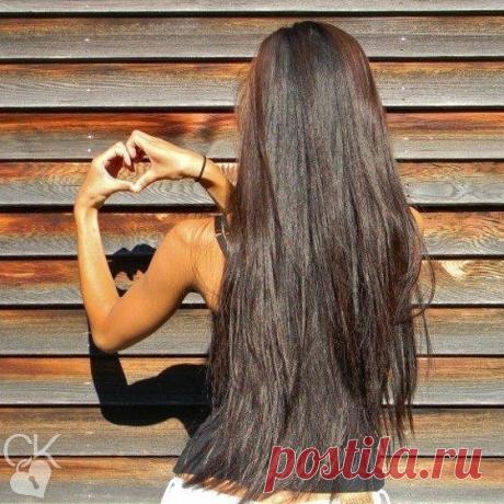 Мои закладки