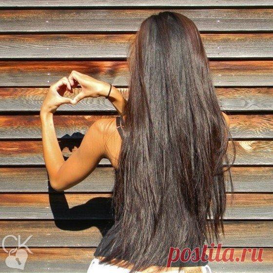 Мои закладки