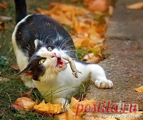 Стоп-кадр., кадры, фото 