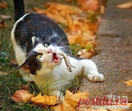 Стоп-кадр., кадры, фото 