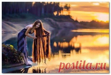 Волосы или энергетические проводники / Все для женщины