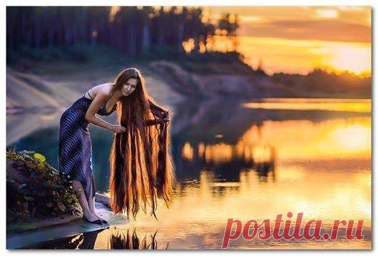 Волосы или энергетические проводники / Все для женщины