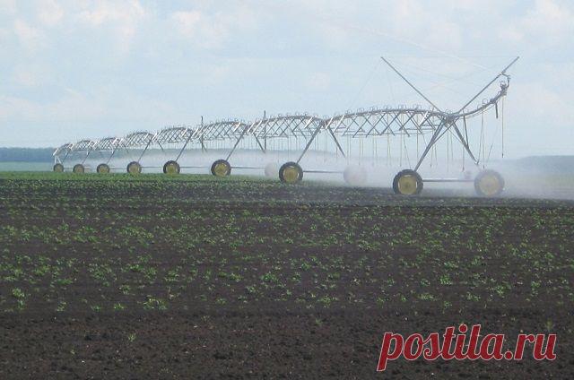 Вырастить и… выкинуть? Как и зачем развивают мелиорацию на Ставрополье Борьба за сохранение цены на поливную воду на прежнем уровне увенчалась успехом. Какие ещё проблемы беспокоят сельхопроизводителей края, выяснял «АиФ-СК».