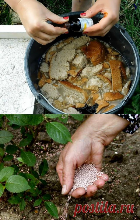 ПОДКОРМКИ ОВОЩЕЙ