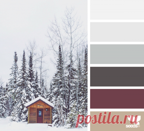 design seeds | cabin hues | for all who ♥ color