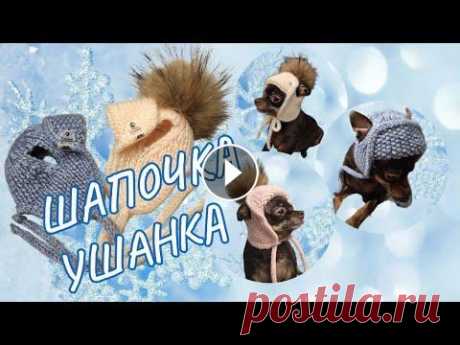 Шапочка ушанка для собак На первый взгляд может показаться что для собаки связать маленькую шапочку проще простого, но не всё так просто, поэтому рекомендую перед началом рабо...