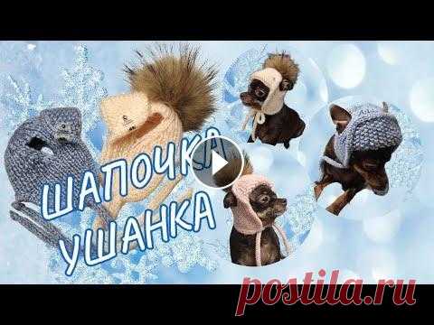 Шапочка ушанка для собак На первый взгляд может показаться что для собаки связать маленькую шапочку проще простого, но не всё так просто, поэтому рекомендую перед началом рабо...