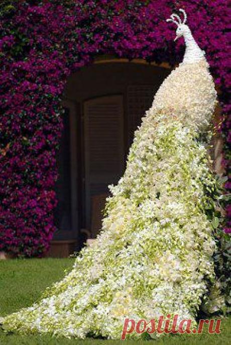 Невероятные скульптуры из цветов